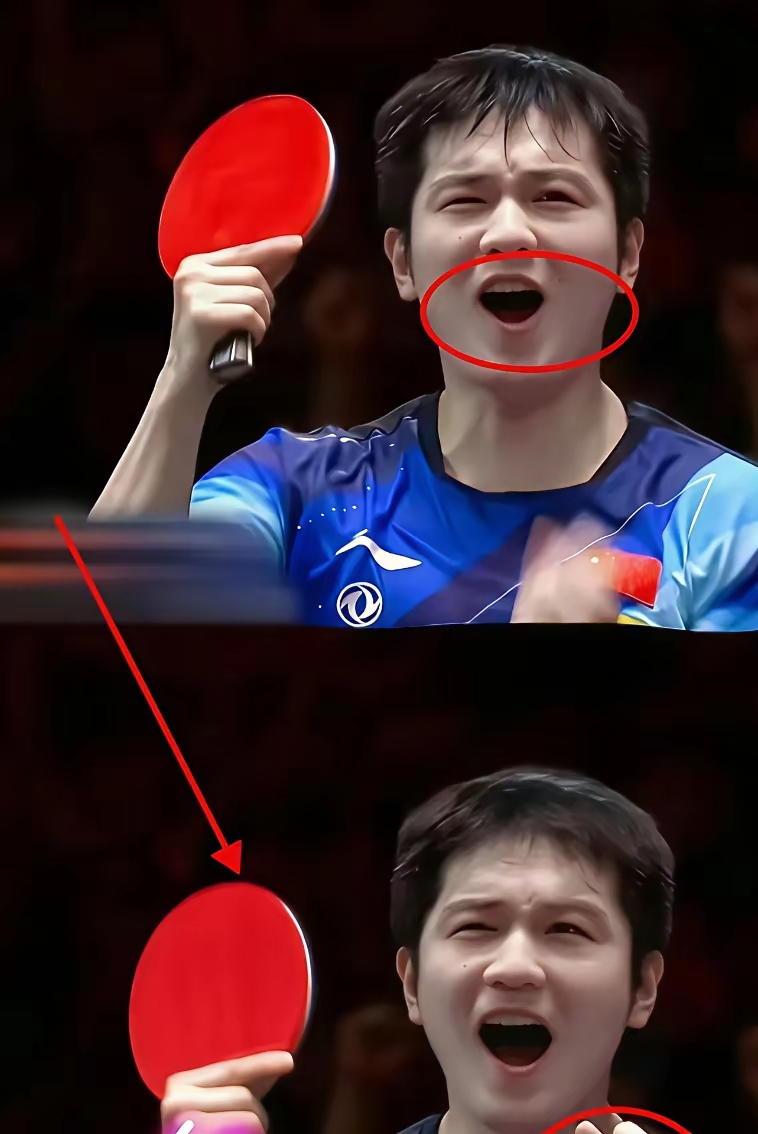 包含瑞典队力克韩国队,樊振东高光表现的词条 包含瑞典队力克韩国队,樊振东高光表现的词条