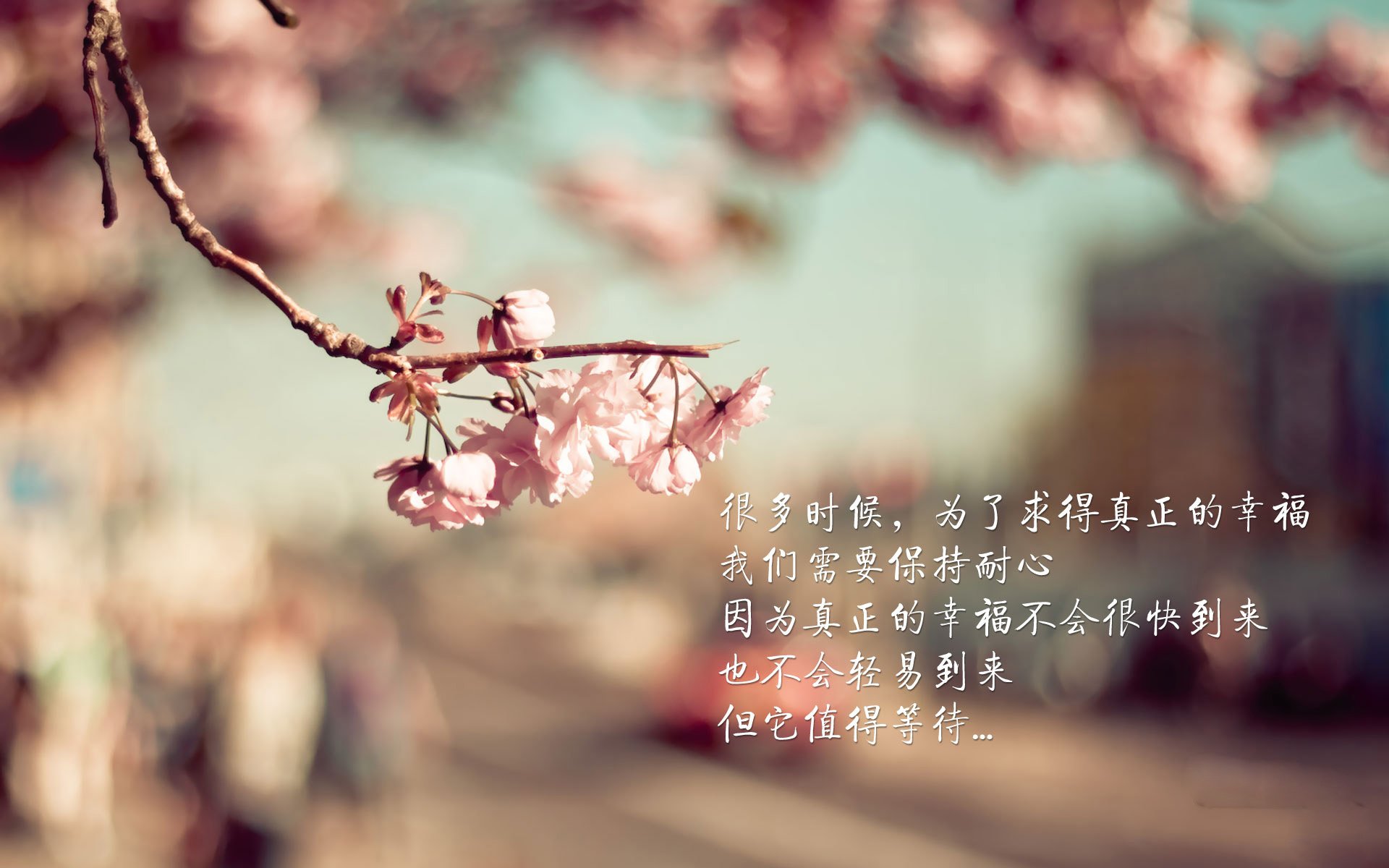 超越武士道，莱比锡红牛的系统足球如何拆解日本足球美学，及贝林厄姆的完美答卷