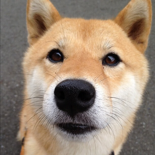 开云APP-神兵天降！C罗点射+双响助皇马客场力克瑞典 争冠战提前锁定胜局