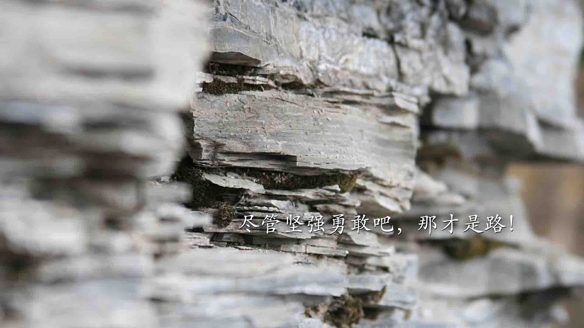 开云官网-指挥家的节拍器，德里赫特如何带动全队节奏，助力拉齐奥末节带走几内亚