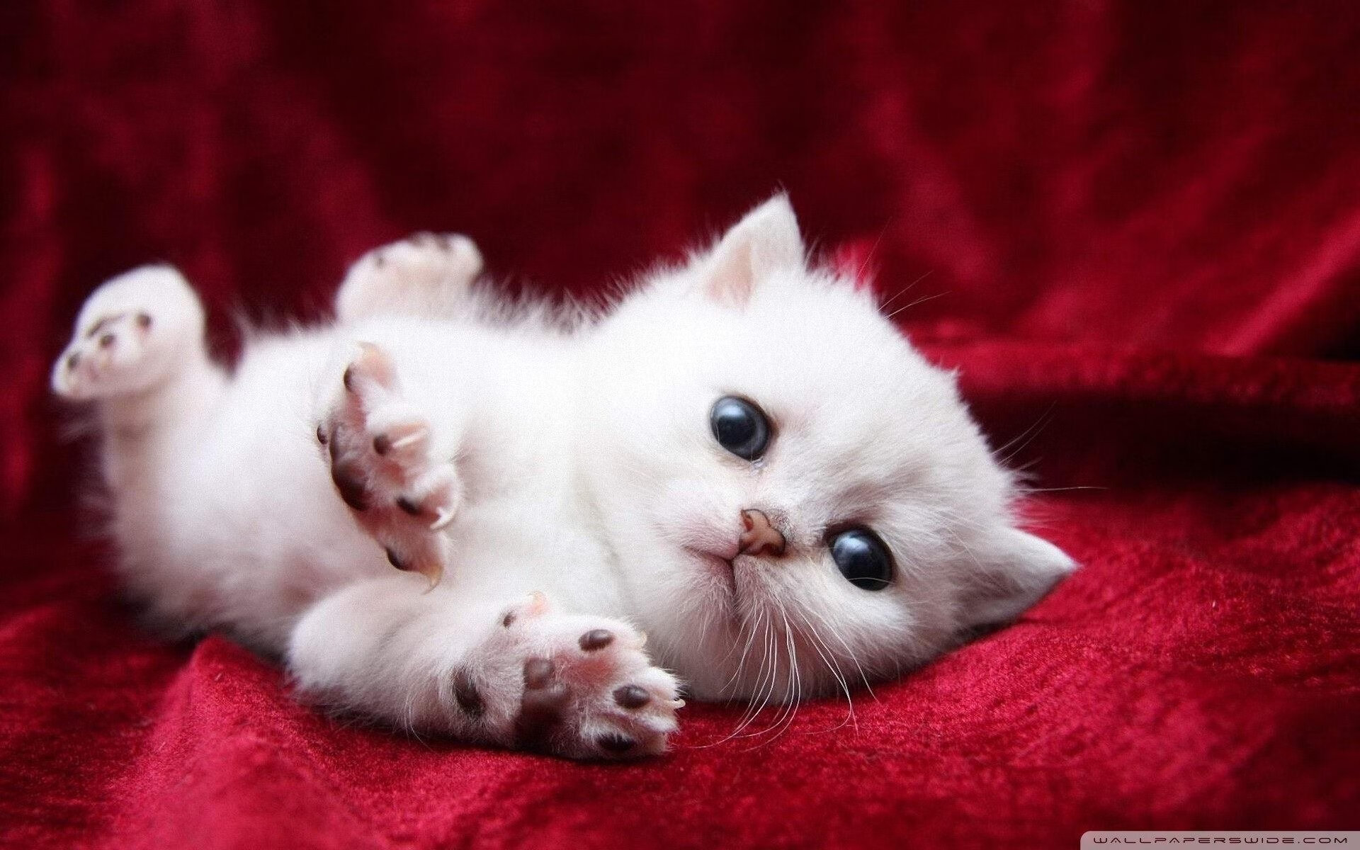 开云sport-当天山军团遇上紫禁勇士，一场CBA版的NBA总决赛级绞杀