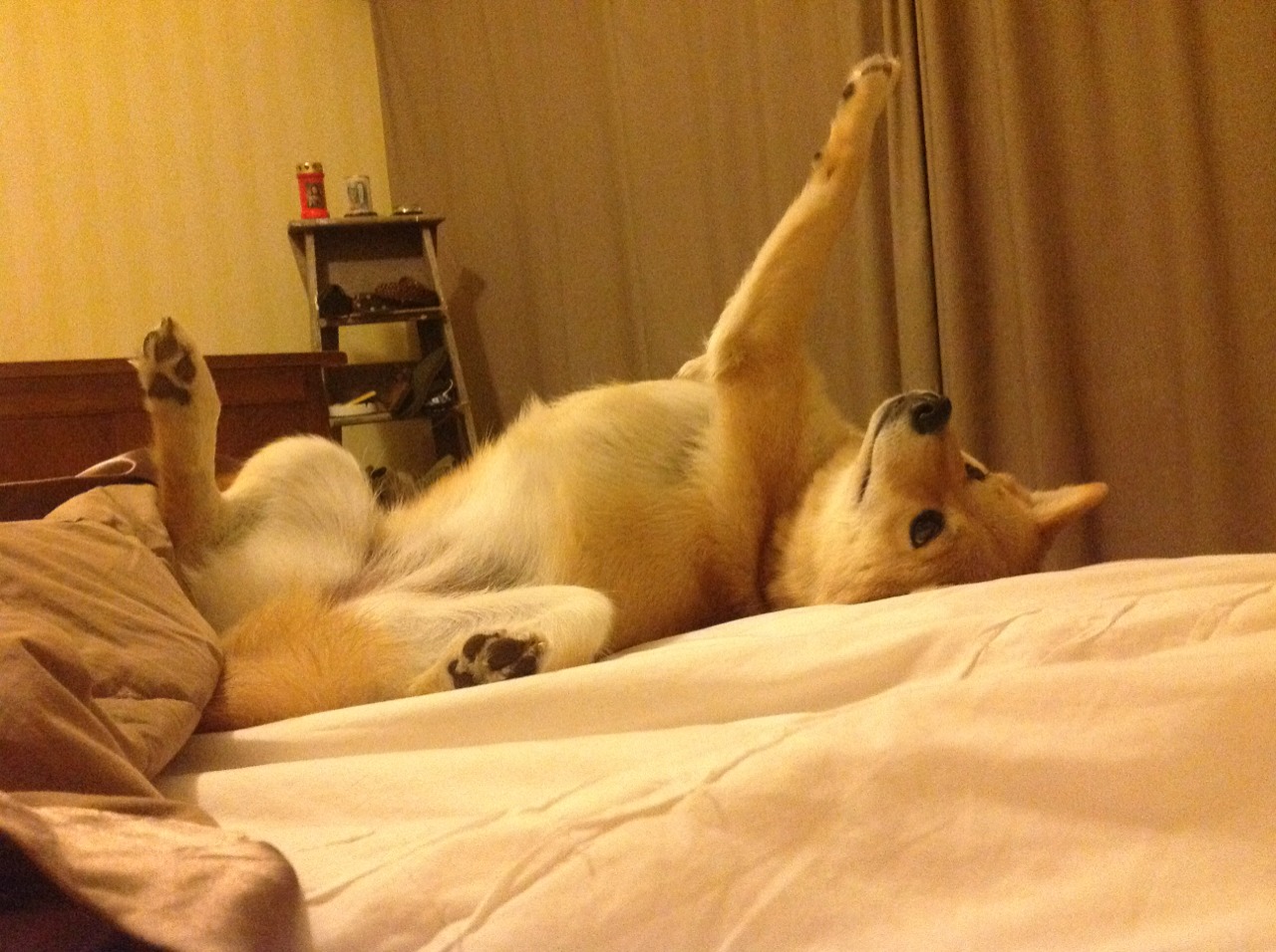 开云sport-冰川崩塌于梅阿查，拉什福德致命双响粉碎挪威铁壁