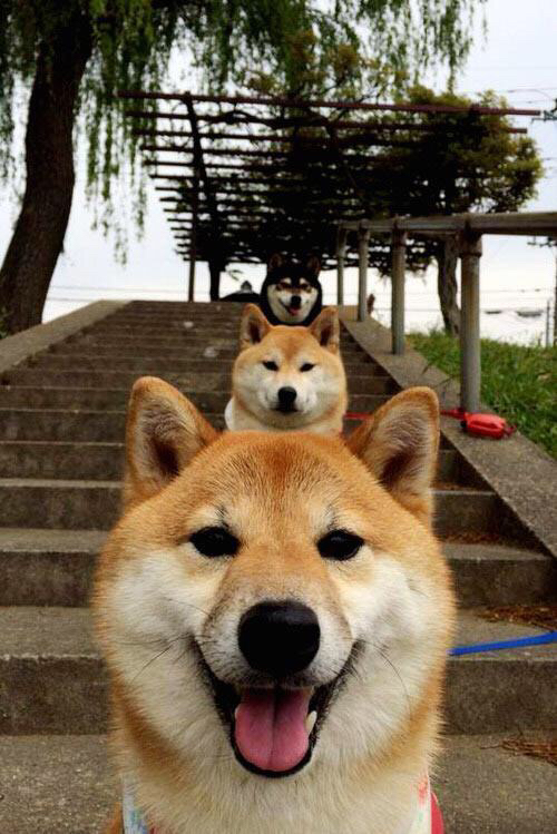 铁索横江，杰伦·格林一夫当关，凯尔特人轻取鹈鹕背后的防守密码