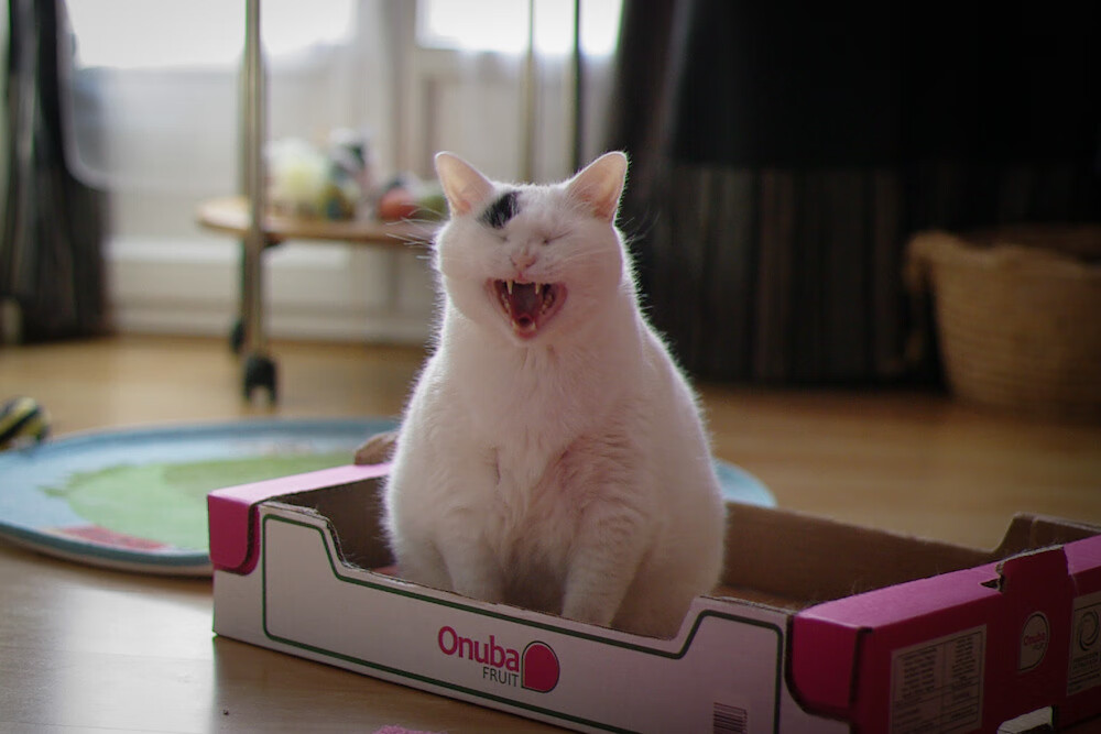 开云体育在线-铁幕下的逆袭，富安健洋如何以血肉之躯筑起阻挡德国巨人的防线