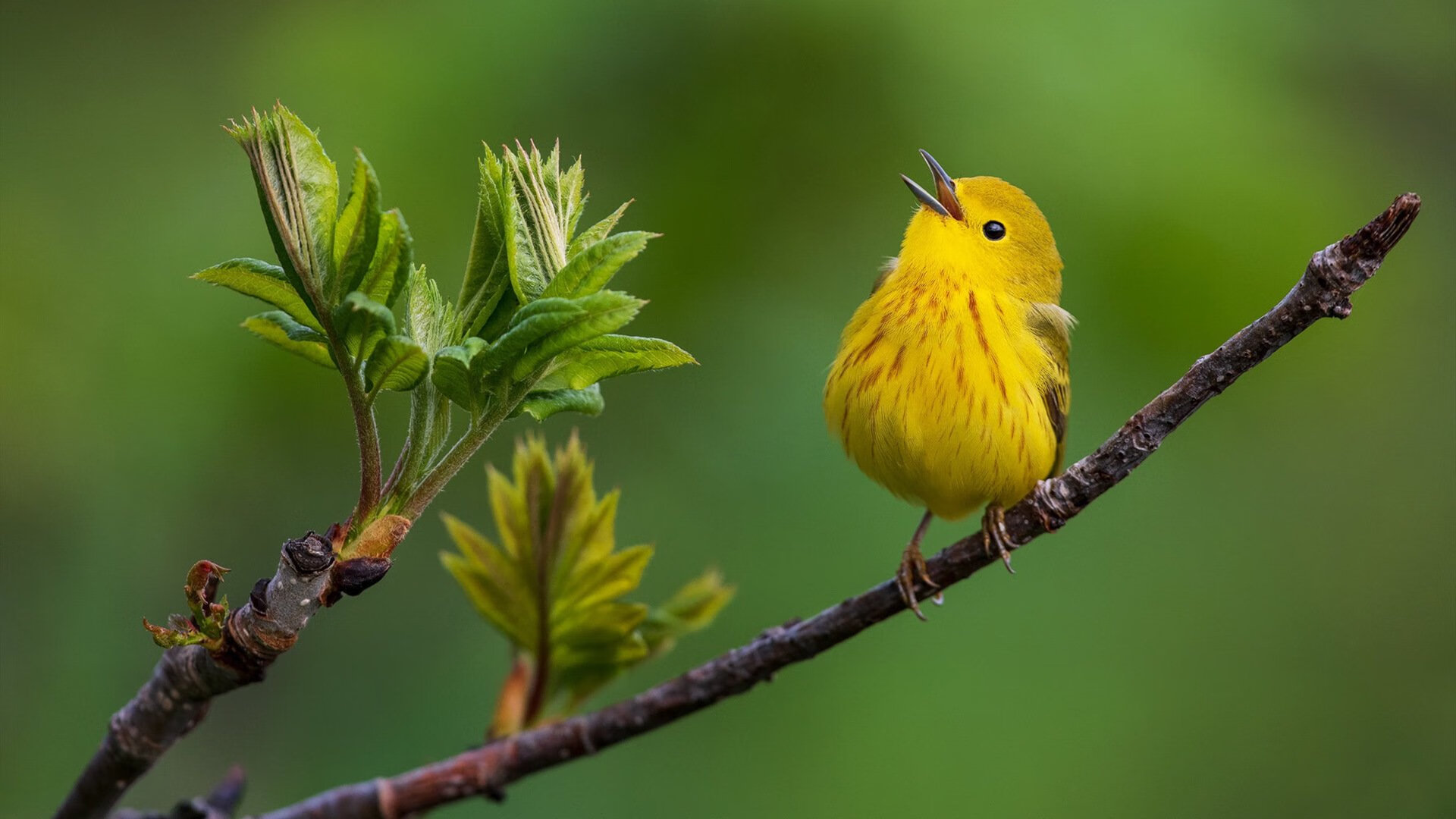 开云体育APP下载-绿茵与赛道的一念之间，富安健洋的关键封堵与F1发车格的毫秒哲学