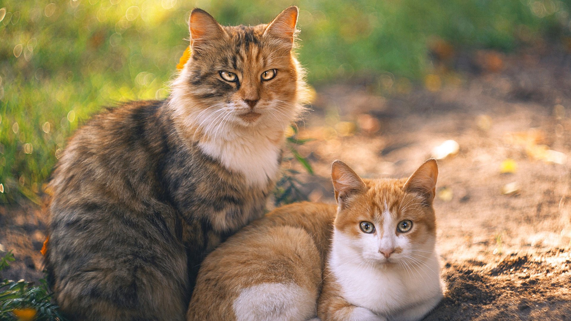 7.3秒，从地狱到天堂！布伦森神级三分上演魔幻逆转