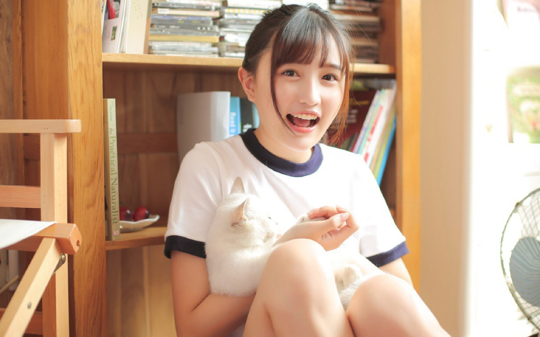 是哲人也是角斗士，弗拉霍维奇的雅典宣言，与一座石头城邦的胜利