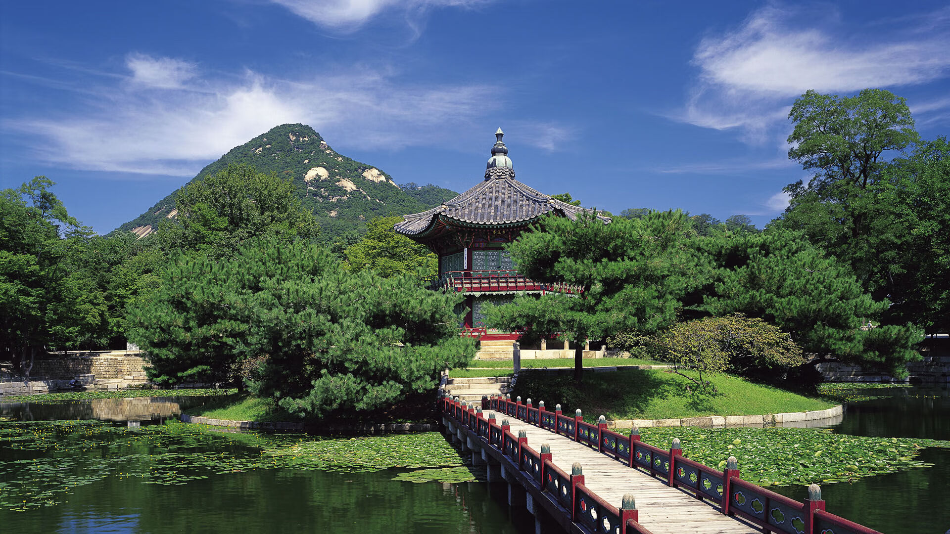 开云体育登录-冰与火之歌,范弗利特用热火式节奏冻结雷霆,在2026世界杯书写无名者的封神榜
