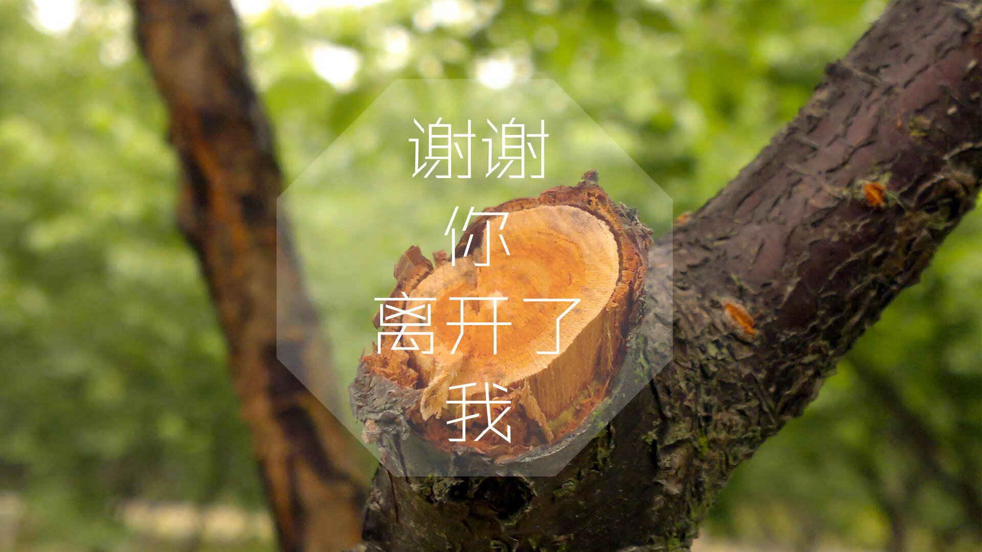 开云体育平台APP-冰与火的绝唱,2026世界杯,历史重演之夜,姆巴佩的宿命与冰岛的奇迹